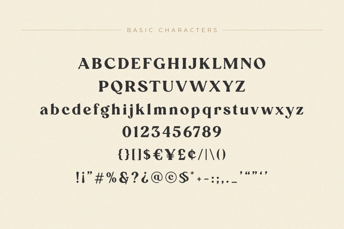 现代时尚杂志海报徽标logo设计衬线英文字体素材 Carena - Ligature Serif Font_img_2