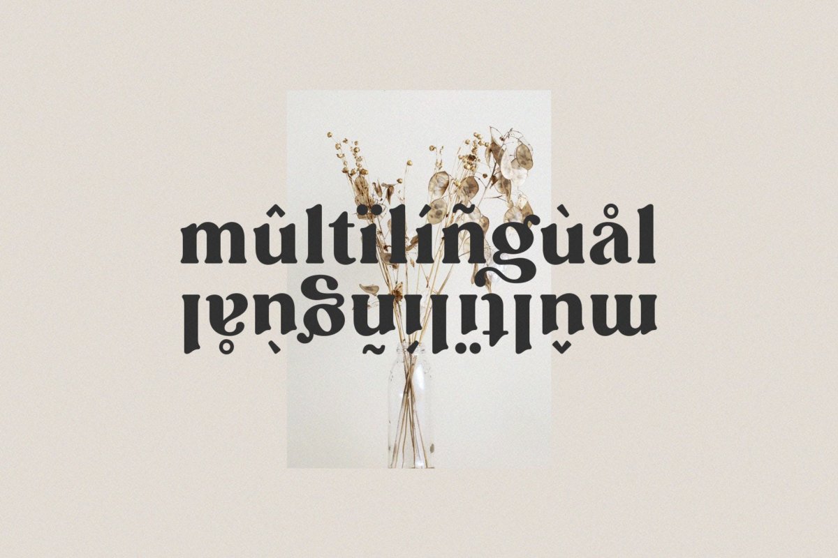 现代时尚杂志海报徽标logo设计衬线英文字体素材 Carena - Ligature Serif Font_img_2