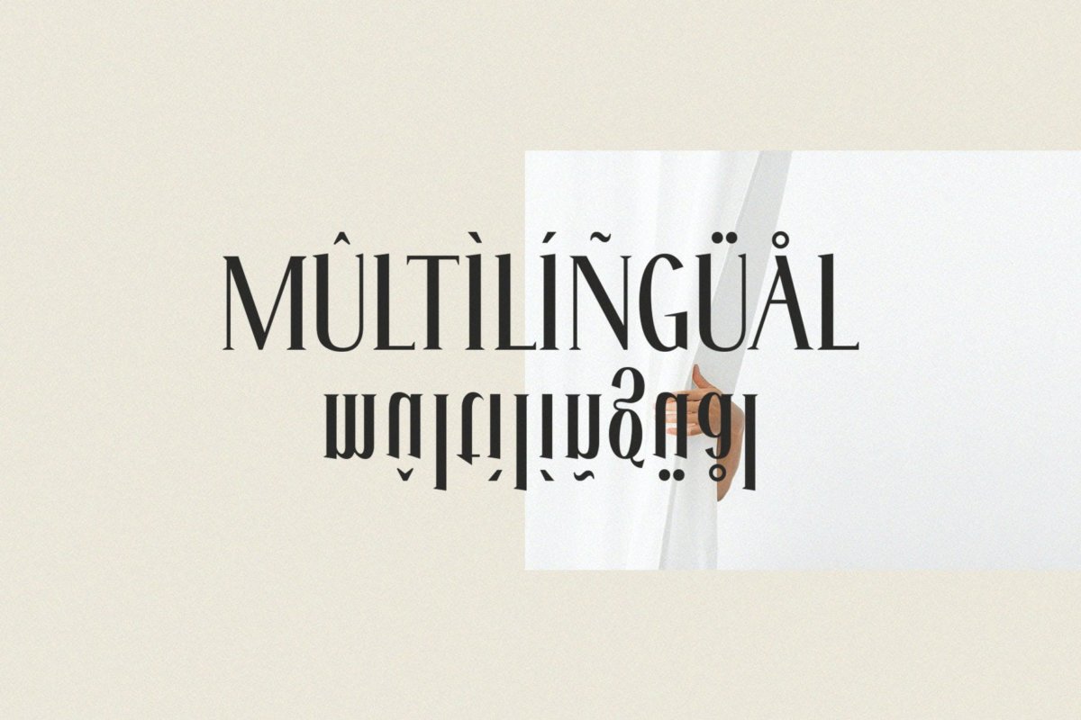 优雅奢华杂志商标邀请函设计衬线英文字体素材 Fitanova - Classy Serif_img_2