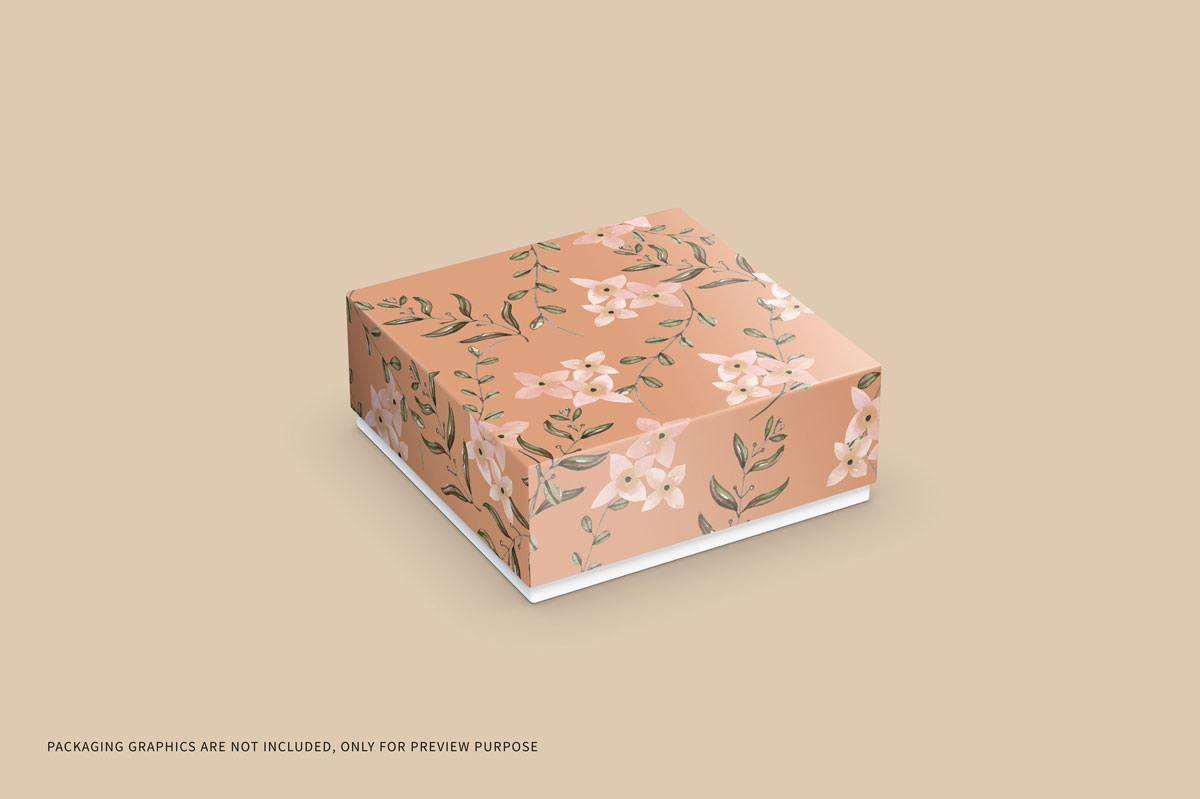 5款方形快递产品包装纸盒设计贴图样机模板 Square Box Packaging Mockup_img_2