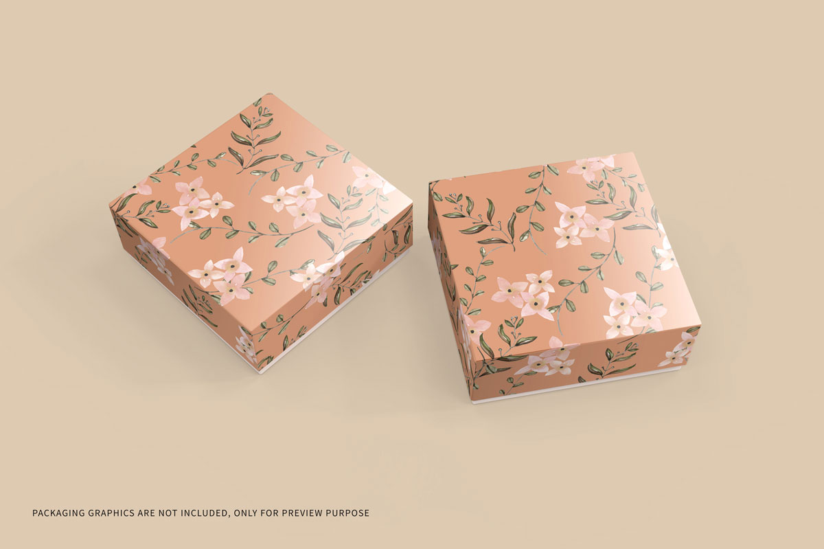 5款方形快递产品包装纸盒设计贴图样机模板 Square Box Packaging Mockup_img_2