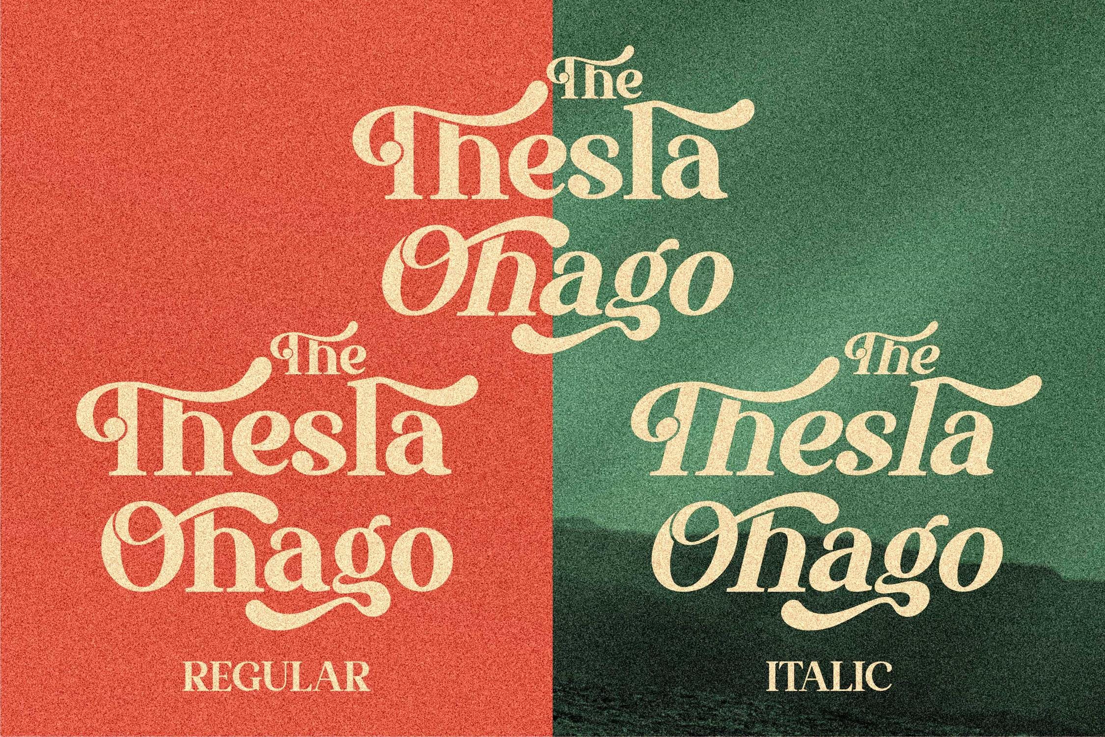现代优雅海报品牌商标设计衬线英文字体素材 The Thesla Ohago Serif LS_img_2