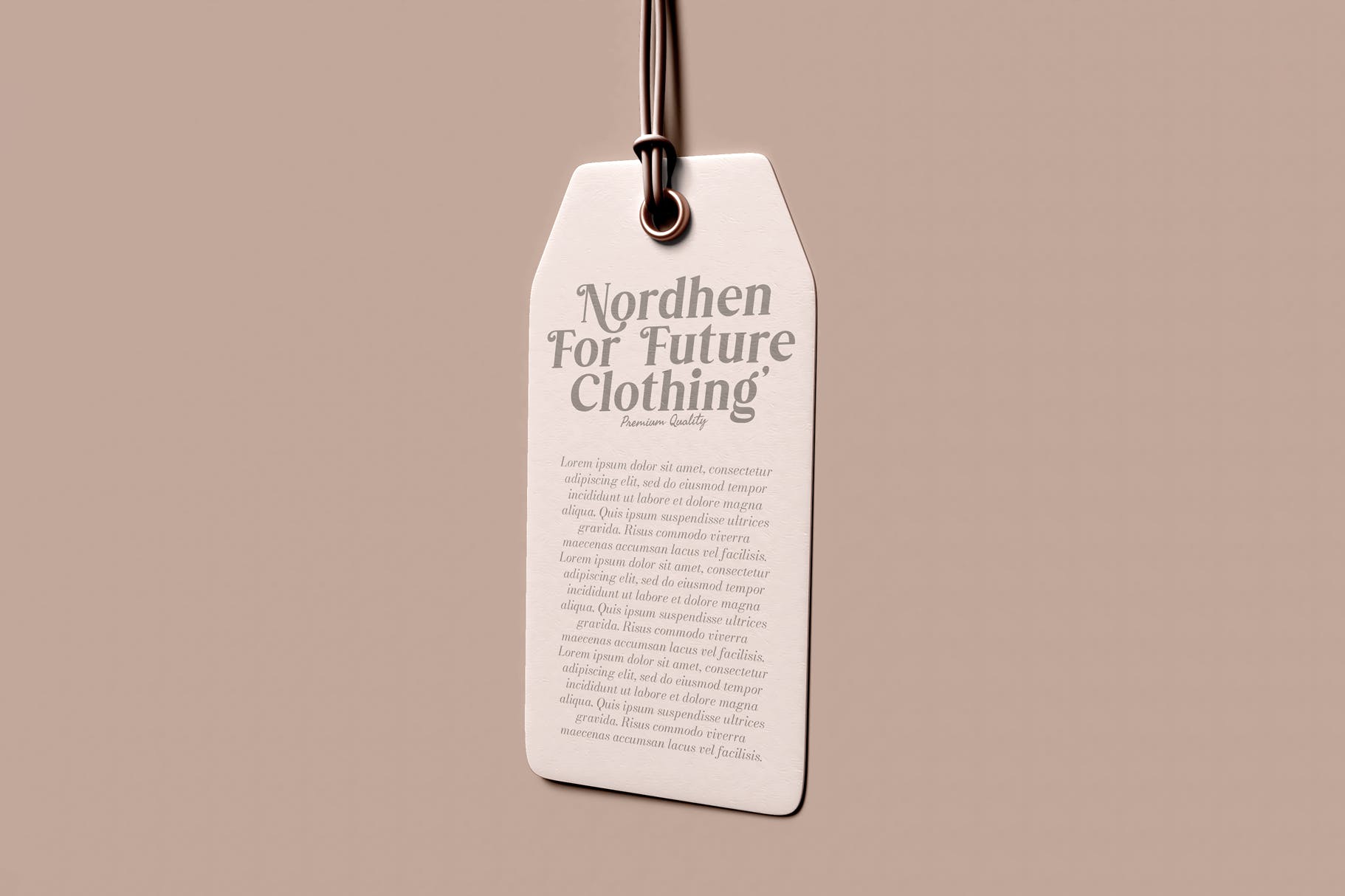 现代奢华广告品牌标题徽标logo设计衬线英文字体素材 Arsene Modern Serif Typeface_img_2