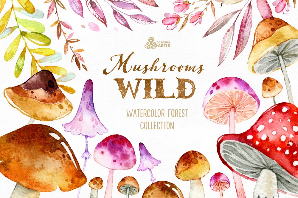 神奇野生森林蘑菇手绘水彩画PNG透明背景图片素材 Wild Mushrooms. Forest Collection_img_2