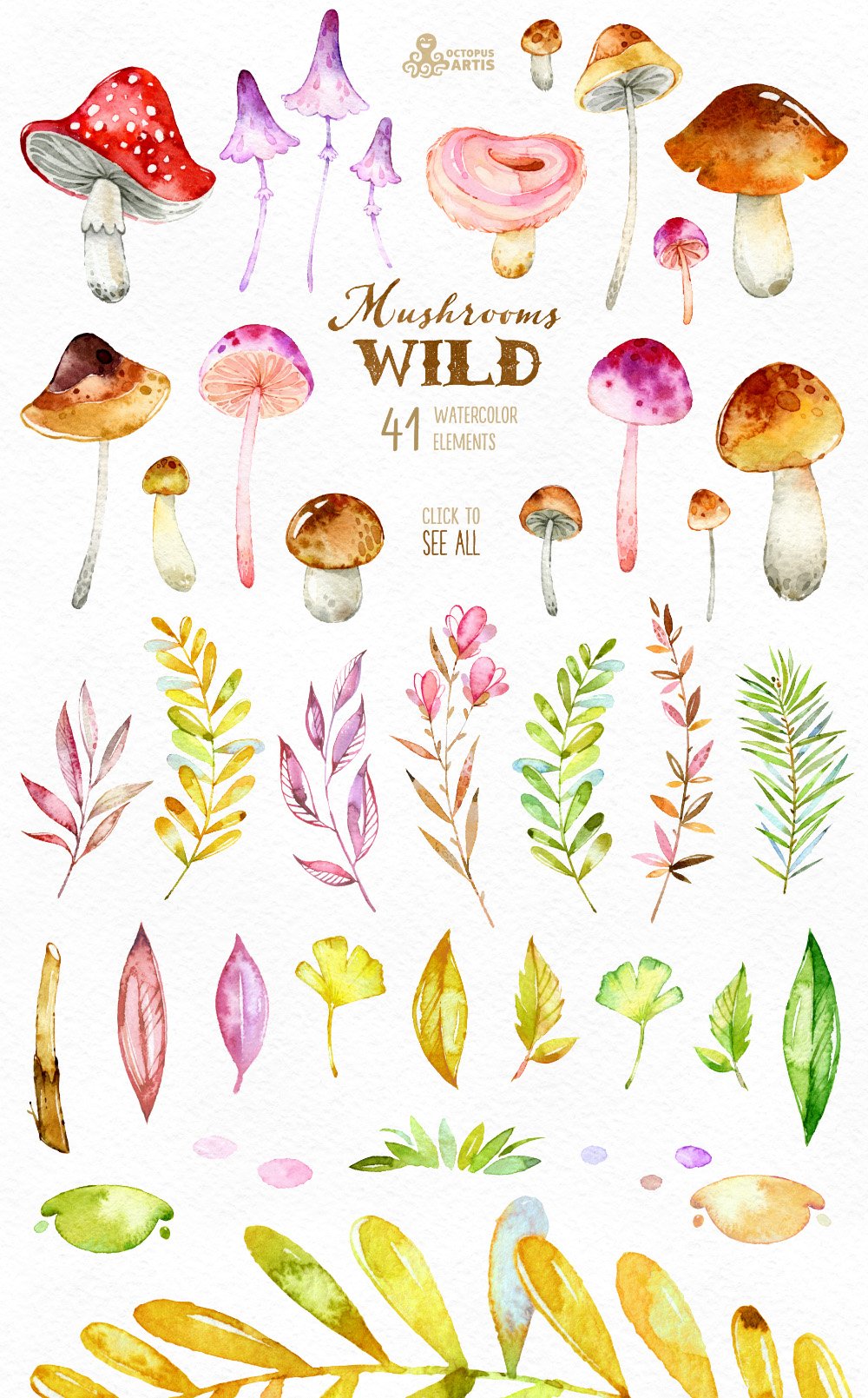 神奇野生森林蘑菇手绘水彩画PNG透明背景图片素材 Wild Mushrooms. Forest Collection_img_2