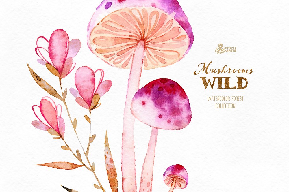 神奇野生森林蘑菇手绘水彩画PNG透明背景图片素材 Wild Mushrooms. Forest Collection_img_2