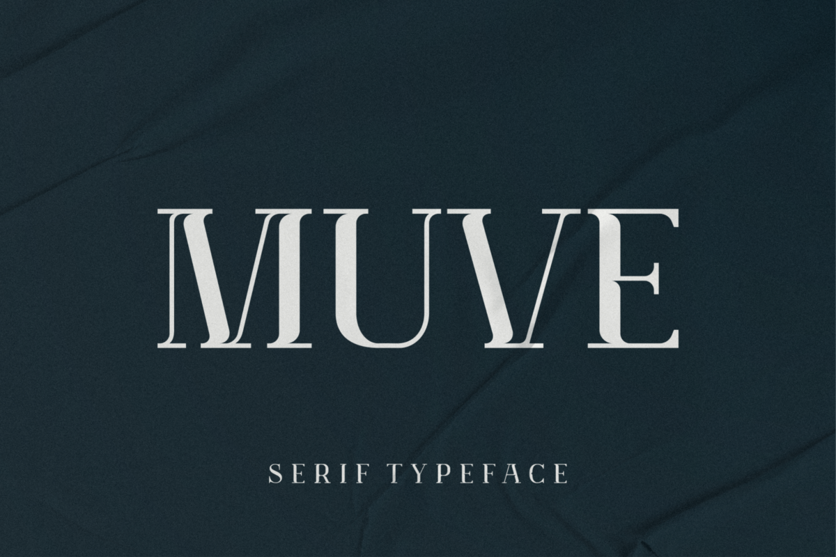 现代时尚服装标识标题设计衬线英文字体素材 Muve Display Serif_img_2