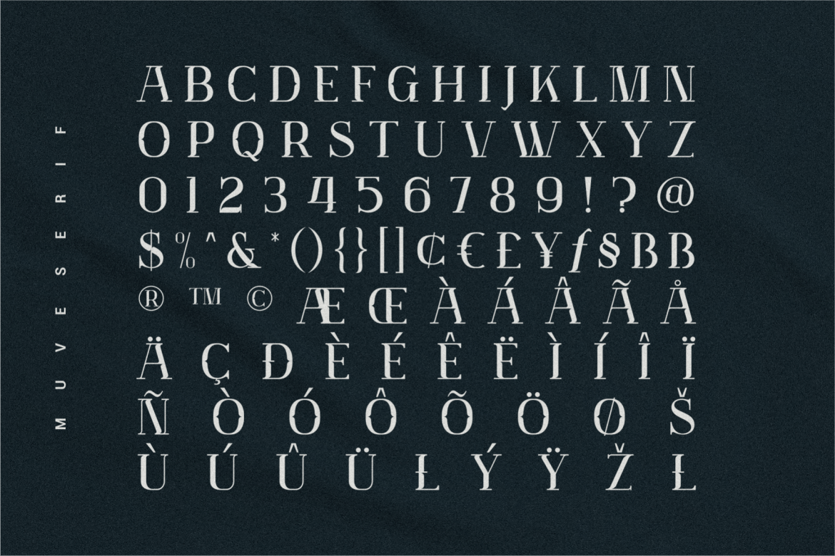 现代时尚服装标识标题设计衬线英文字体素材 Muve Display Serif_img_2