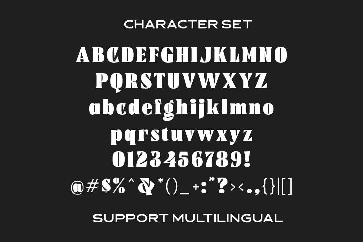 时尚出众杂志标签徽标logo设计加粗衬线英文字体素材 Calfine - Bold Serif_img_2
