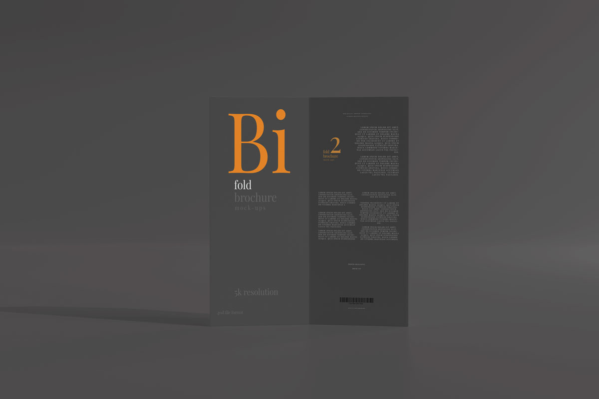 6款两折页小册子设计贴图样机模板 Dl Size Bifold Brochure Mockup_img_2