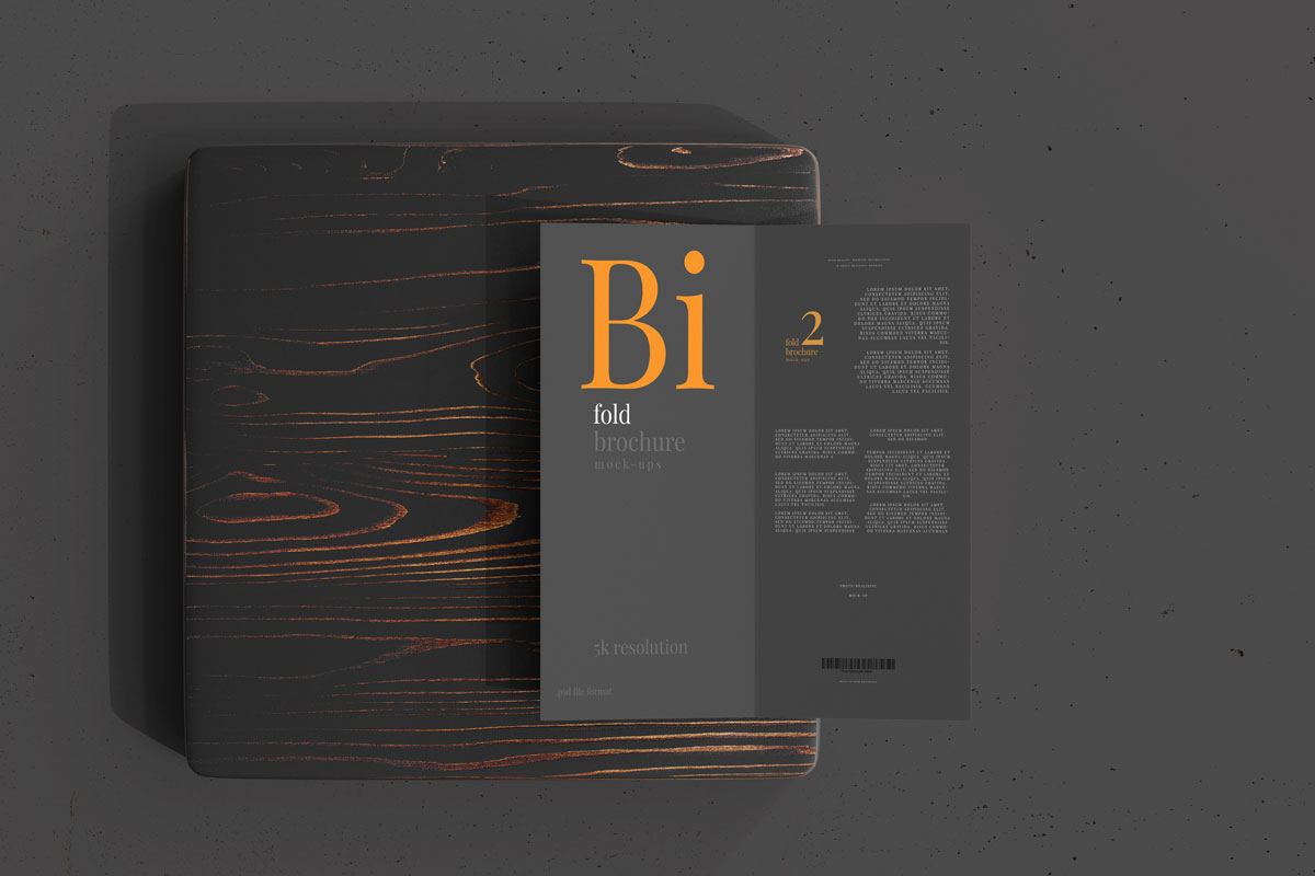 6款两折页小册子设计贴图样机模板 Dl Size Bifold Brochure Mockup_img_2