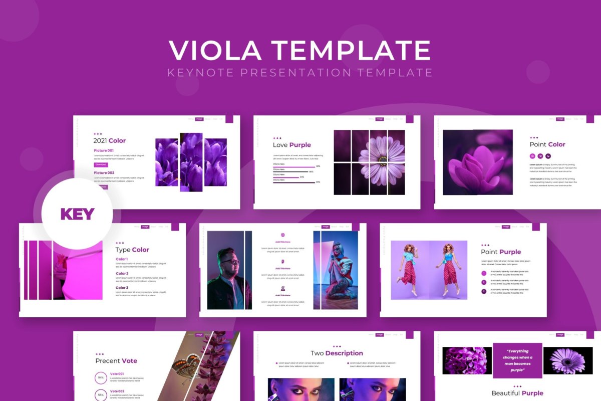 简约摄影作品集演示文稿设计Keynote模板 Viola - Keynote Template_img_2