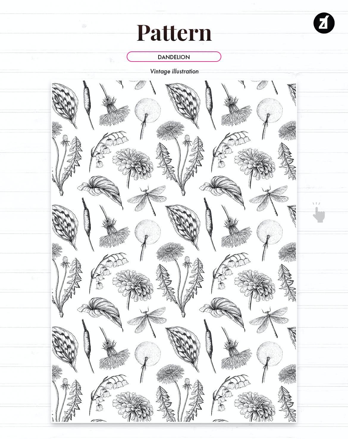 复古蒲公英手绘插画背景图案PS设计素材 Dandelion vintage illustration and pattern_img_2
