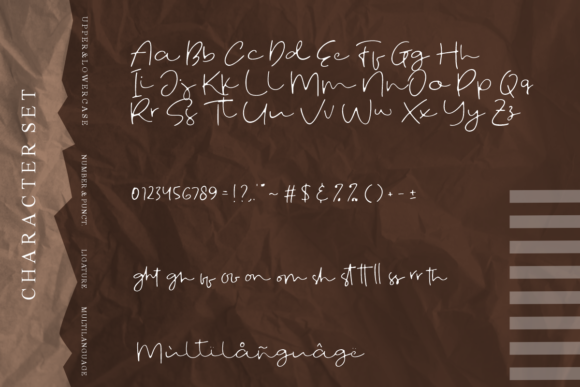 时尚优雅标题徽标Logo设计手写英文字体 Fostone Natural Signature Font_img_2