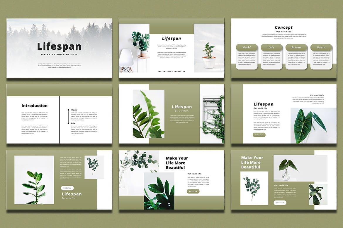 绿色系简约作品集演示文稿设计模板 Lifespan - PowerPoint Template_img_2