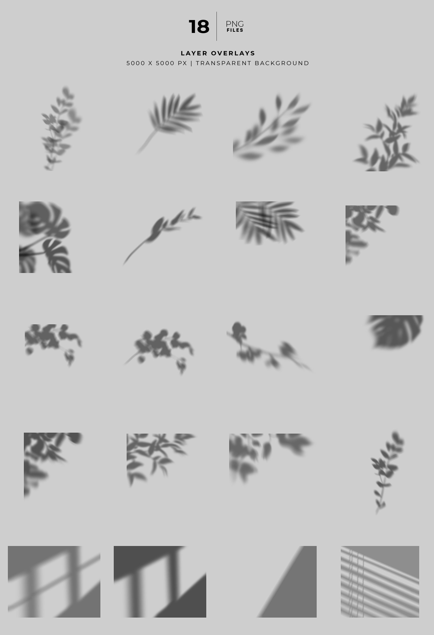 20个高清自然植物阴影PS叠加层PNG透明图片素材合集 Natural Shadow Mockup Set_img_2