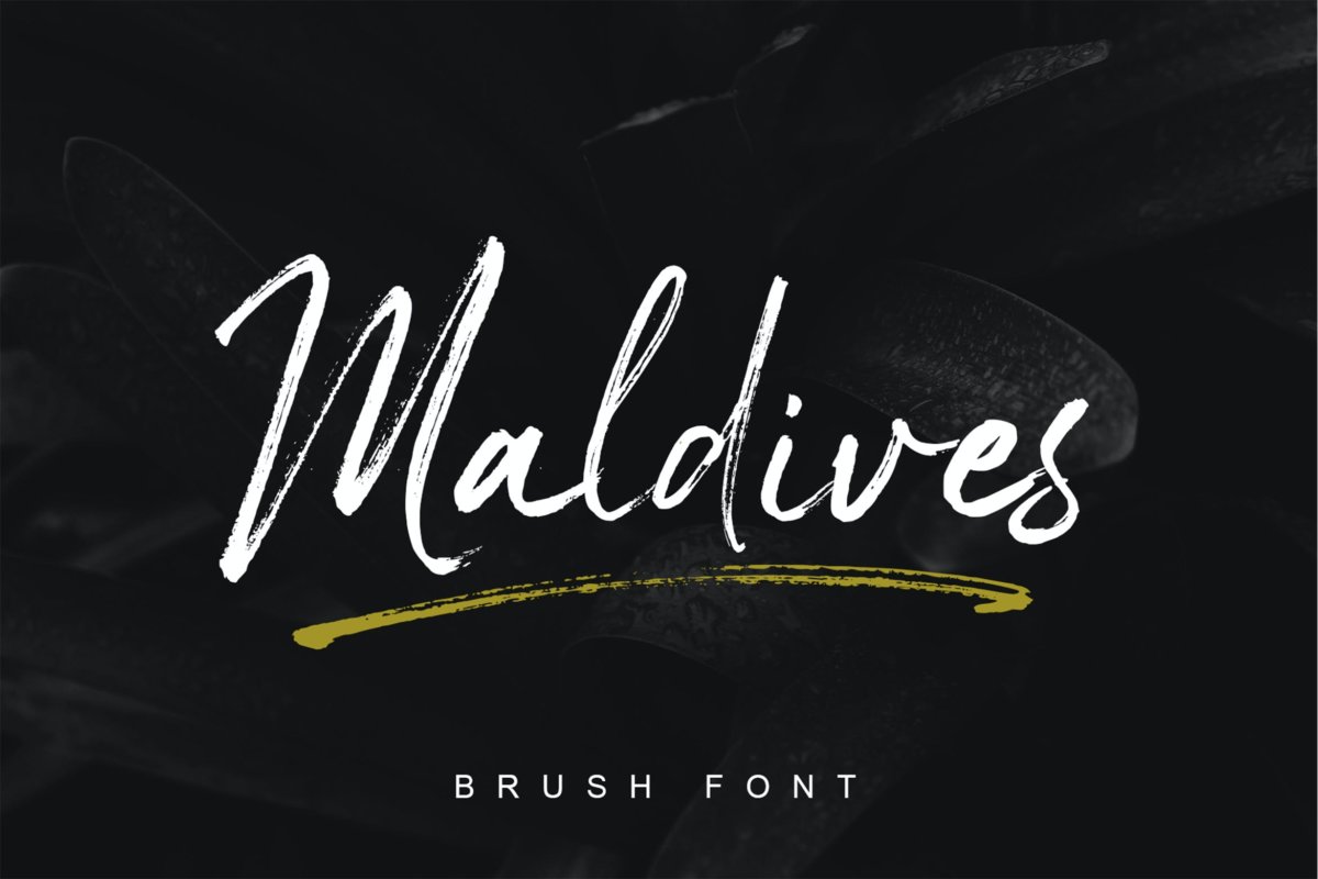 时尚优雅杂志海报标题品牌logo设计手写字体脚本 Maldives Handbrush Font_img_2