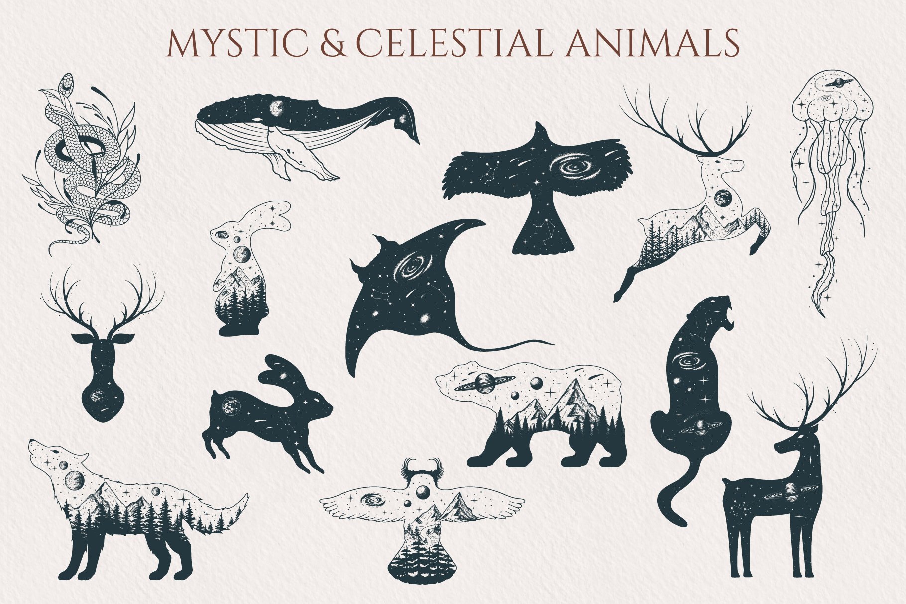 94个神秘天体动物树叶手绘插画设计素材素材 Hand drawn Celestial Animals Collection_img_2