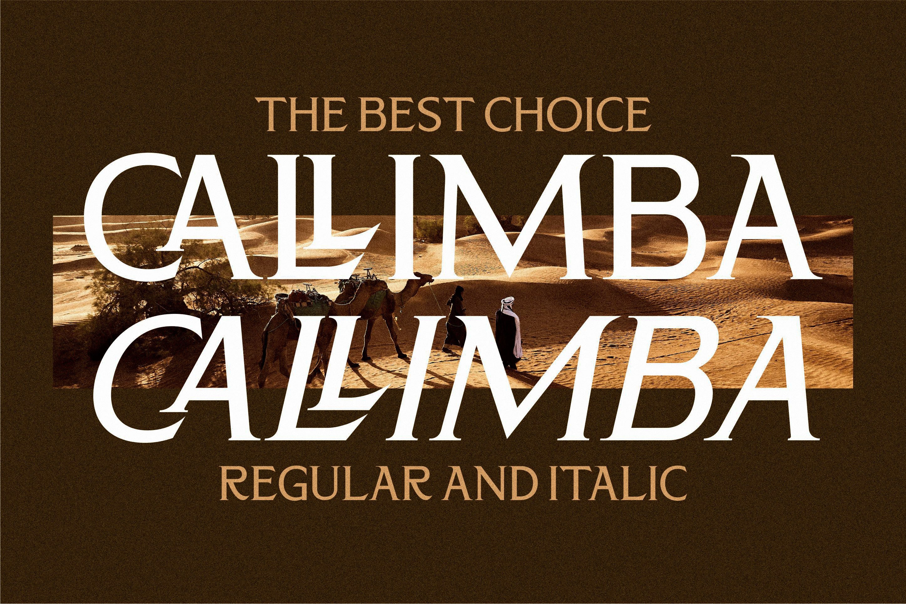 现代奢华品牌徽标Logo海报标题设计衬线英文字体素材 Callimba Font_img_2