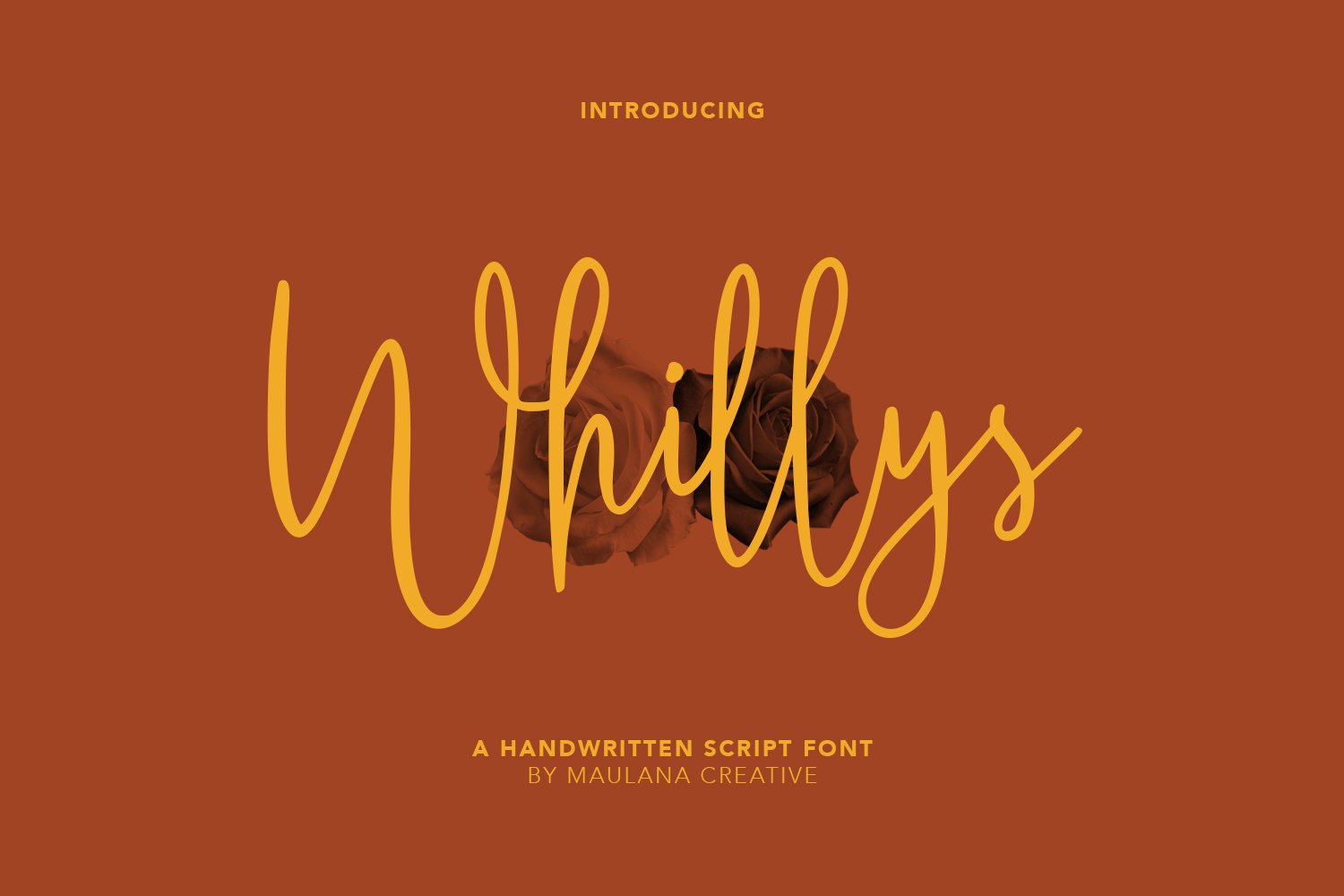 时尚杂志标题品牌徽标Logo手写英文字体设计素材 Whillys Font_img_2