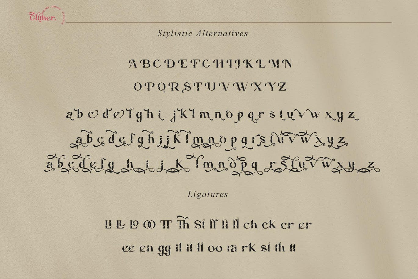 现代优雅杂志海报标题徽标Logo设计衬线英文字体素材 Glither Font_img_2