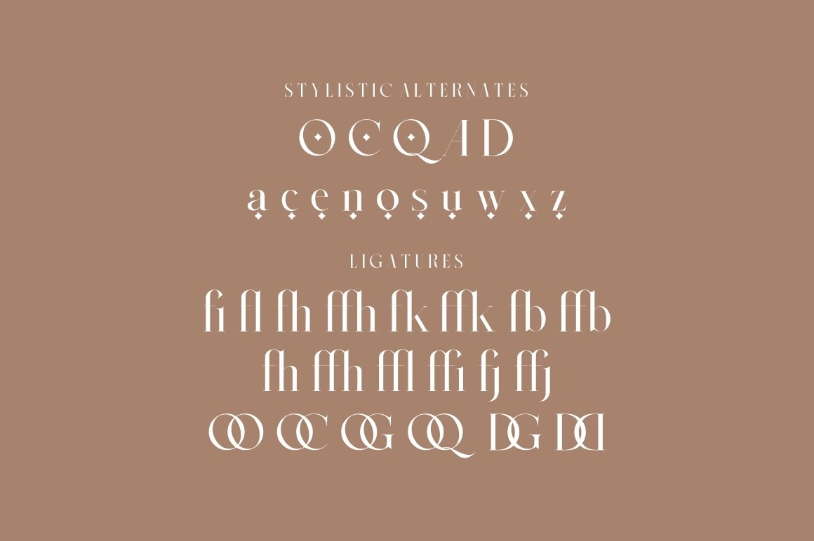 现代优雅海报标题徽标Logo衬线英文字体设计素材 Quirell Font_img_2