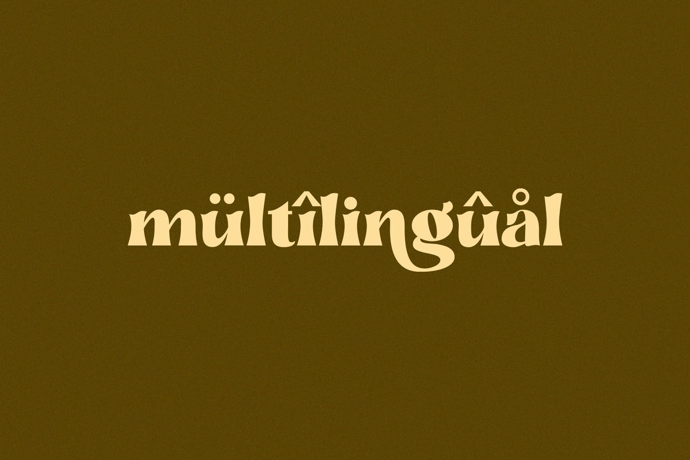 时尚复古品牌Logo海报杂志标题设计粗体衬线英文字体素材 Hangier Font_img_2