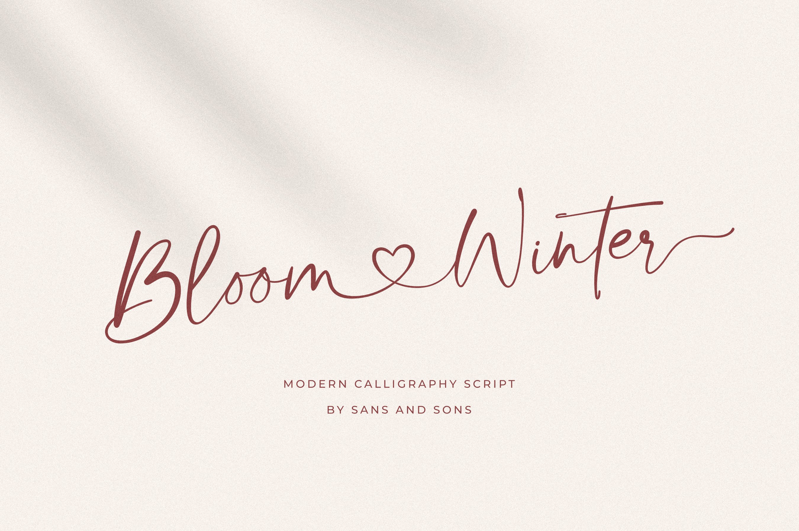 现代优雅品牌徽标Logo标题设计手写英文字体素材 Bloom Winter Font_img_2