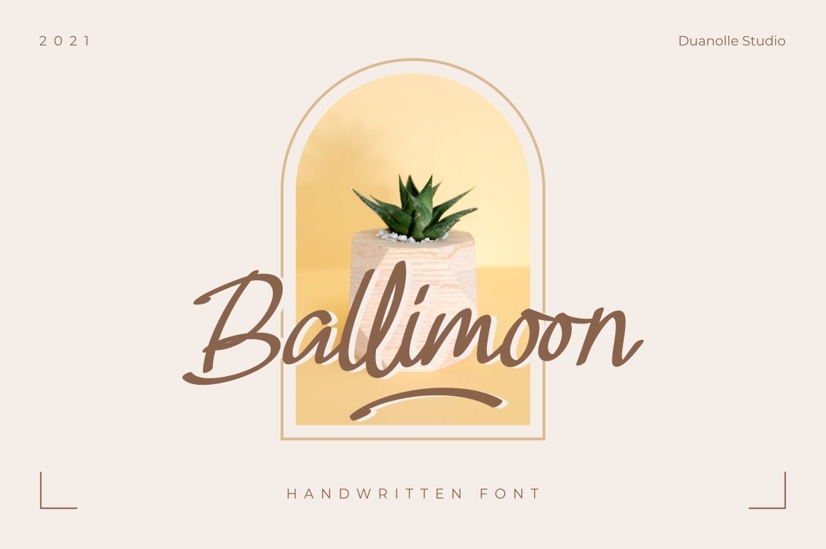 时尚优雅品牌徽标Logo标题设计手写英文字体下载 Ballimoon Font_img_2