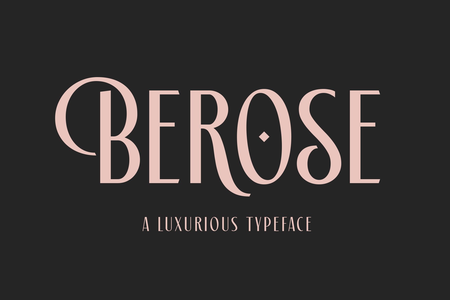 优雅奢华杂志标题徽标Logo设计无衬线英文字体素材 Berose Font_img_2