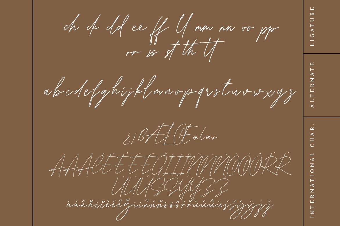 现代优雅品牌徽标Logo设计手写签名英文字体下载 Karllina Font_img_2