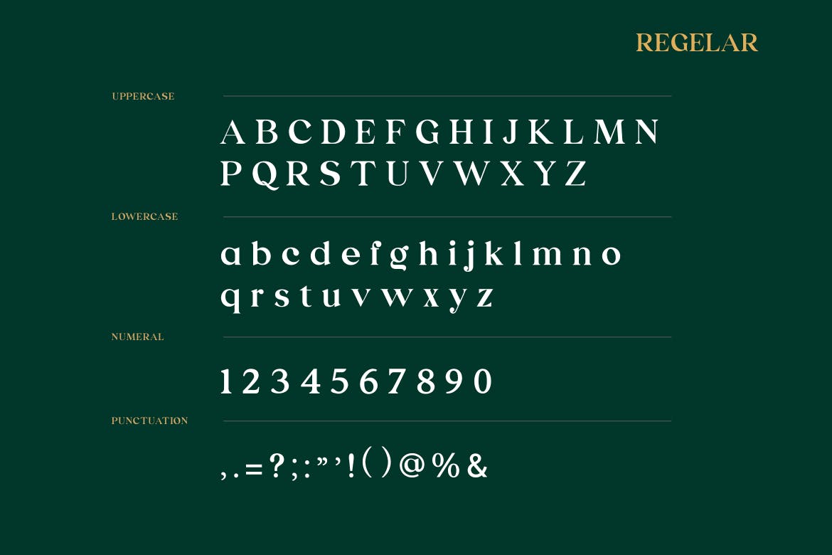 优雅复古海报标题Logo设计衬线英文字体素材 Emerland Serif Font_img_2