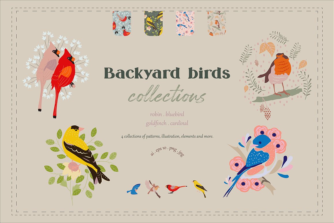 可爱鸟类手绘剪贴画矢量设计素材合集 Backyard Birds Collections_img_2