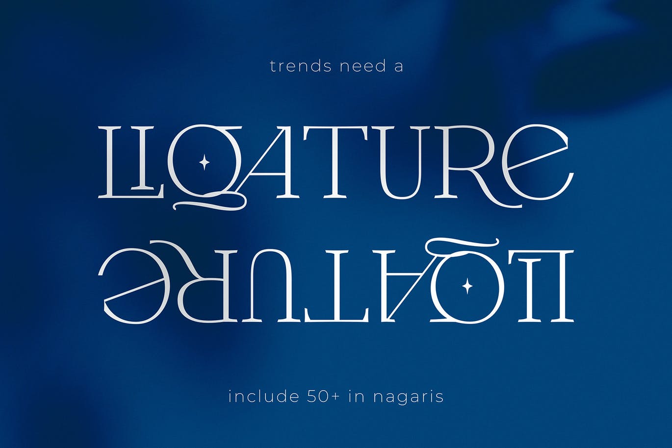 现代优雅品牌标题Logo设计衬线英文字体素材 Nagaris Serif Display_img_2