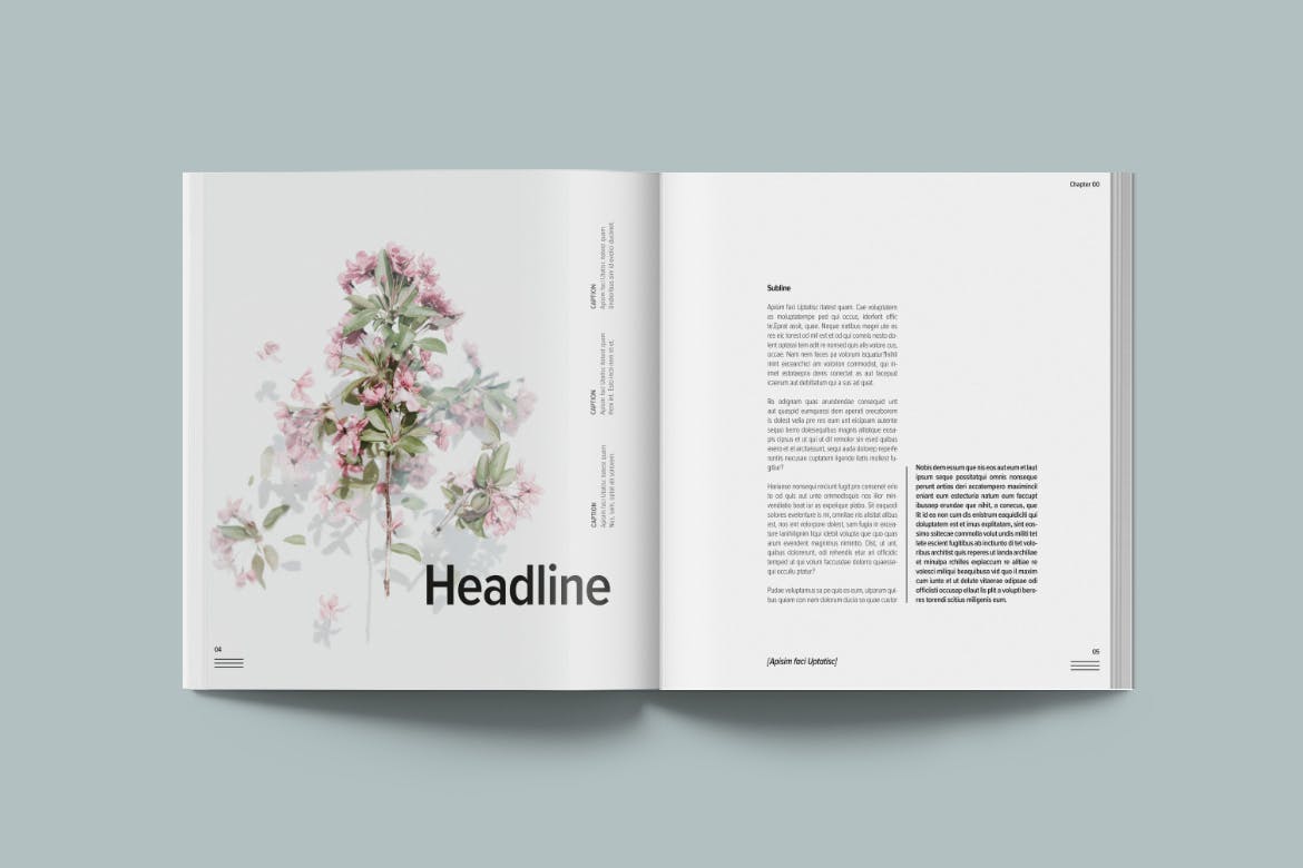 简约优雅画册杂志设计INDD模板素材 Magazine Template Bloom_img_2