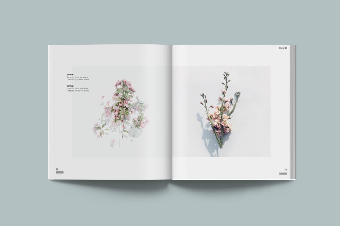 简约优雅画册杂志设计INDD模板素材 Magazine Template Bloom_img_2