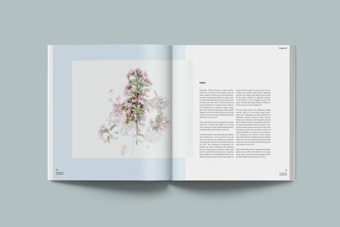 简约优雅画册杂志设计INDD模板素材 Magazine Template Bloom_img_2