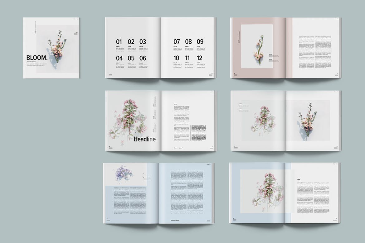 简约优雅画册杂志设计INDD模板素材 Magazine Template Bloom_img_2