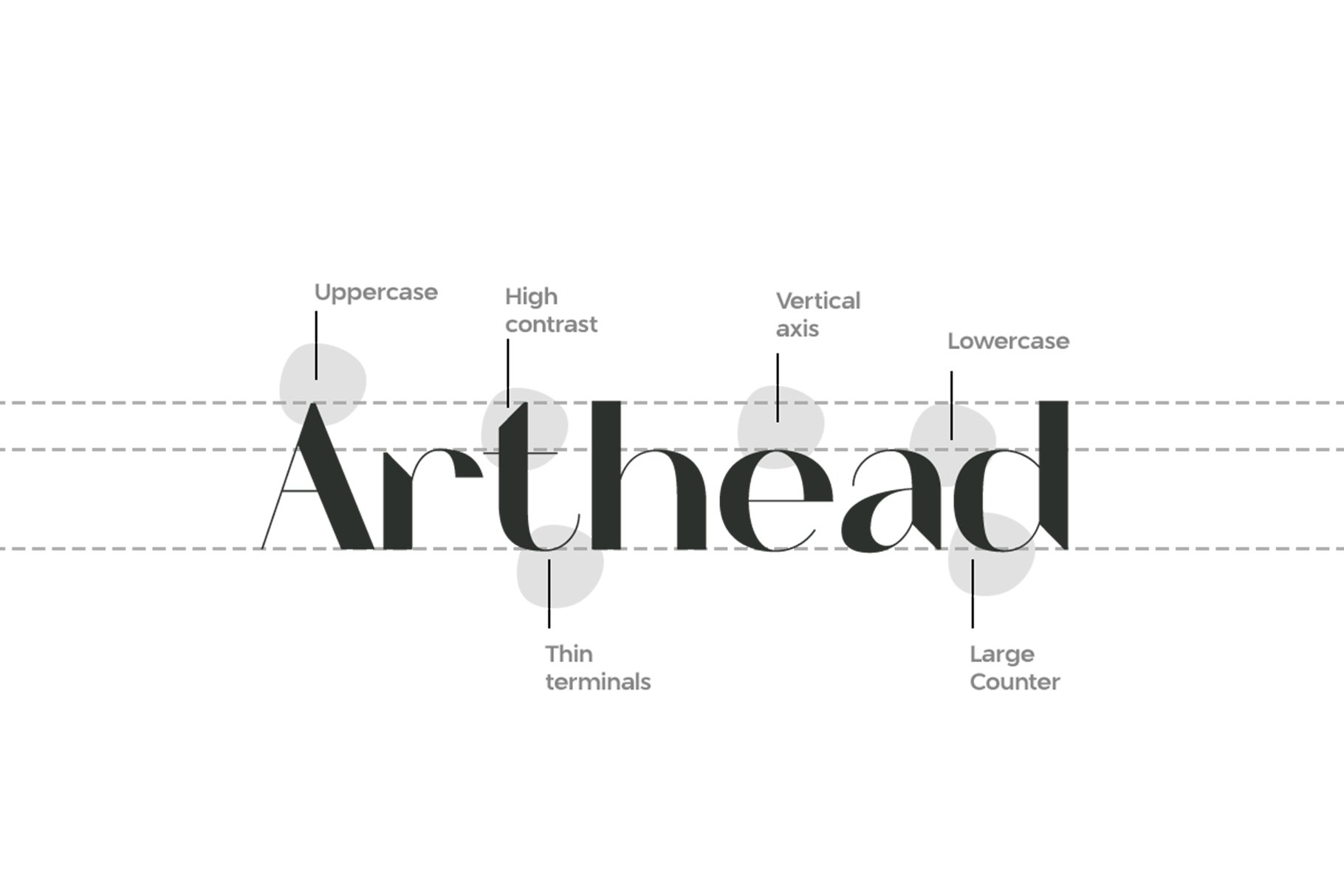 现代优雅杂志标题Logo设计无衬线英文字体素材 Arthead Modern Sans Serif_img_2