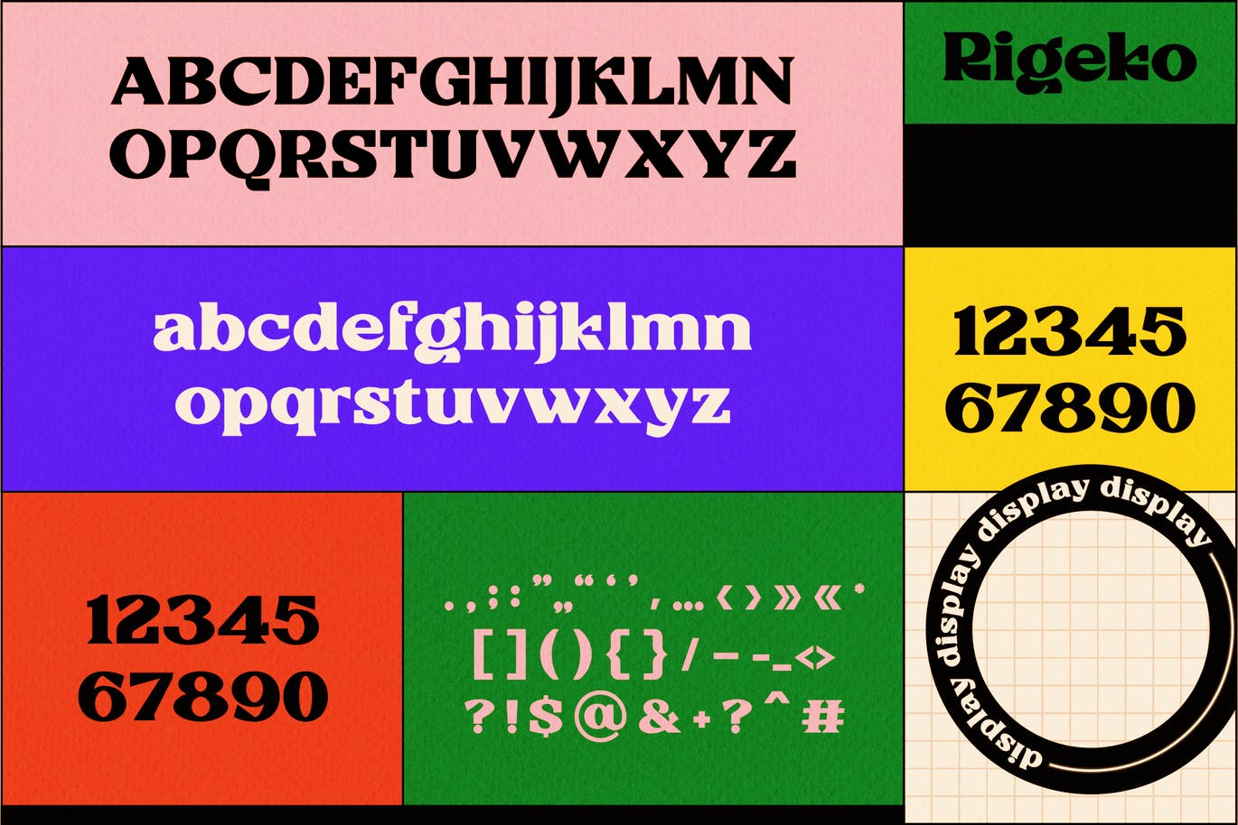 现代复古海报标题徽标Logo设计装饰英文字体素材 Rigeko Font_img_2