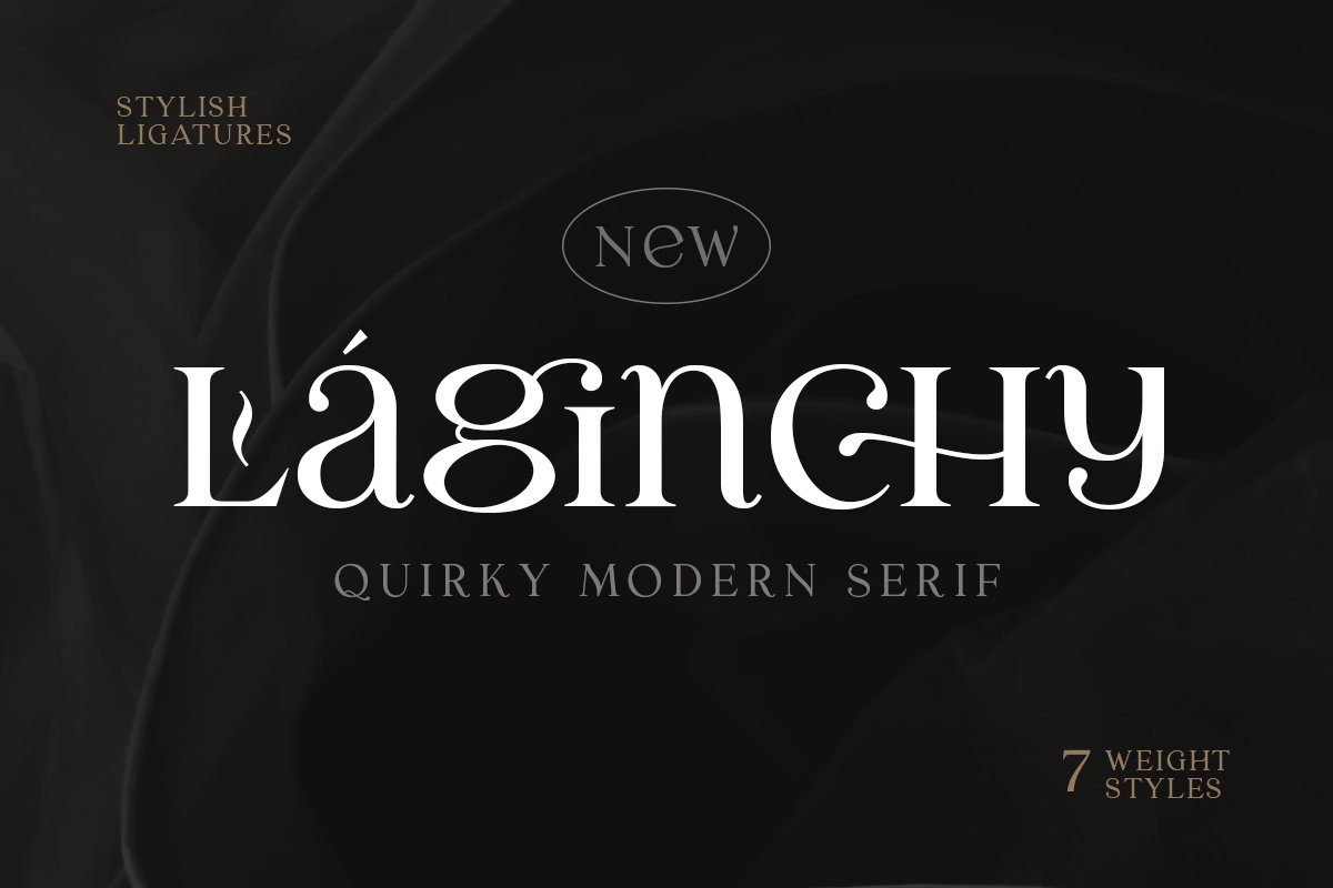 优雅古典轻奢时尚品牌Logo海报标题装饰英文字体素材 Laginchy - Quirky Serif_img_2