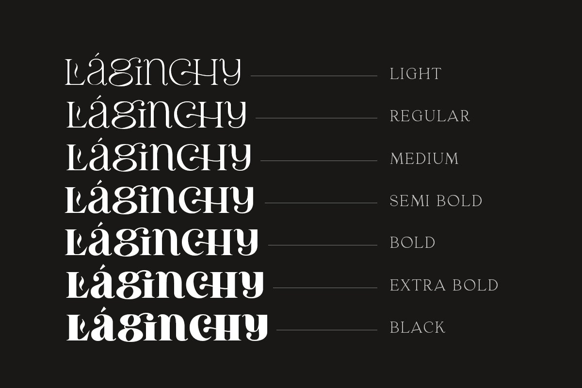 优雅古典轻奢时尚品牌Logo海报标题装饰英文字体素材 Laginchy - Quirky Serif_img_2