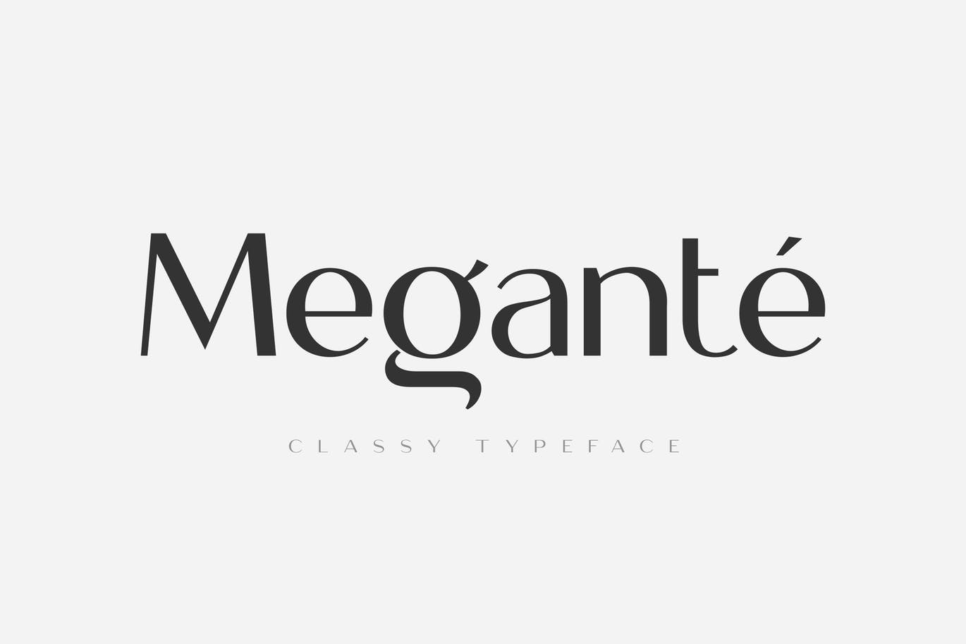 现代优雅画册标题徽标Logo设计无衬线英文字体素材 Megante - Classy Font_img_2