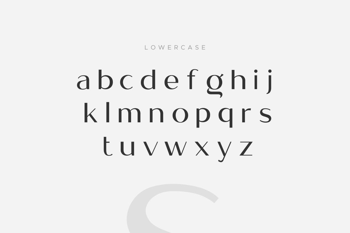 现代优雅画册标题徽标Logo设计无衬线英文字体素材 Megante - Classy Font_img_2