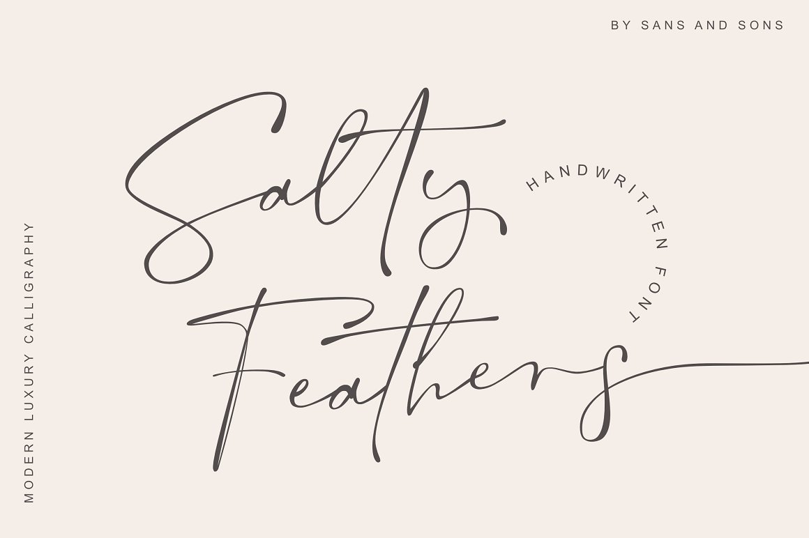 现代优雅标题品牌Logo设计大写手写签名英文字体素材 Salty Feathers - Modern Script_img_2