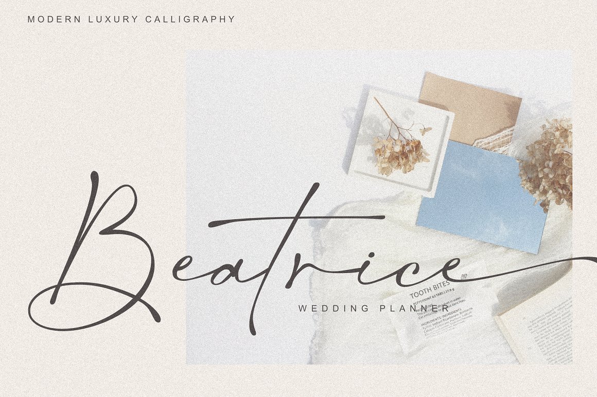 现代优雅标题品牌Logo设计大写手写签名英文字体素材 Salty Feathers - Modern Script_img_2