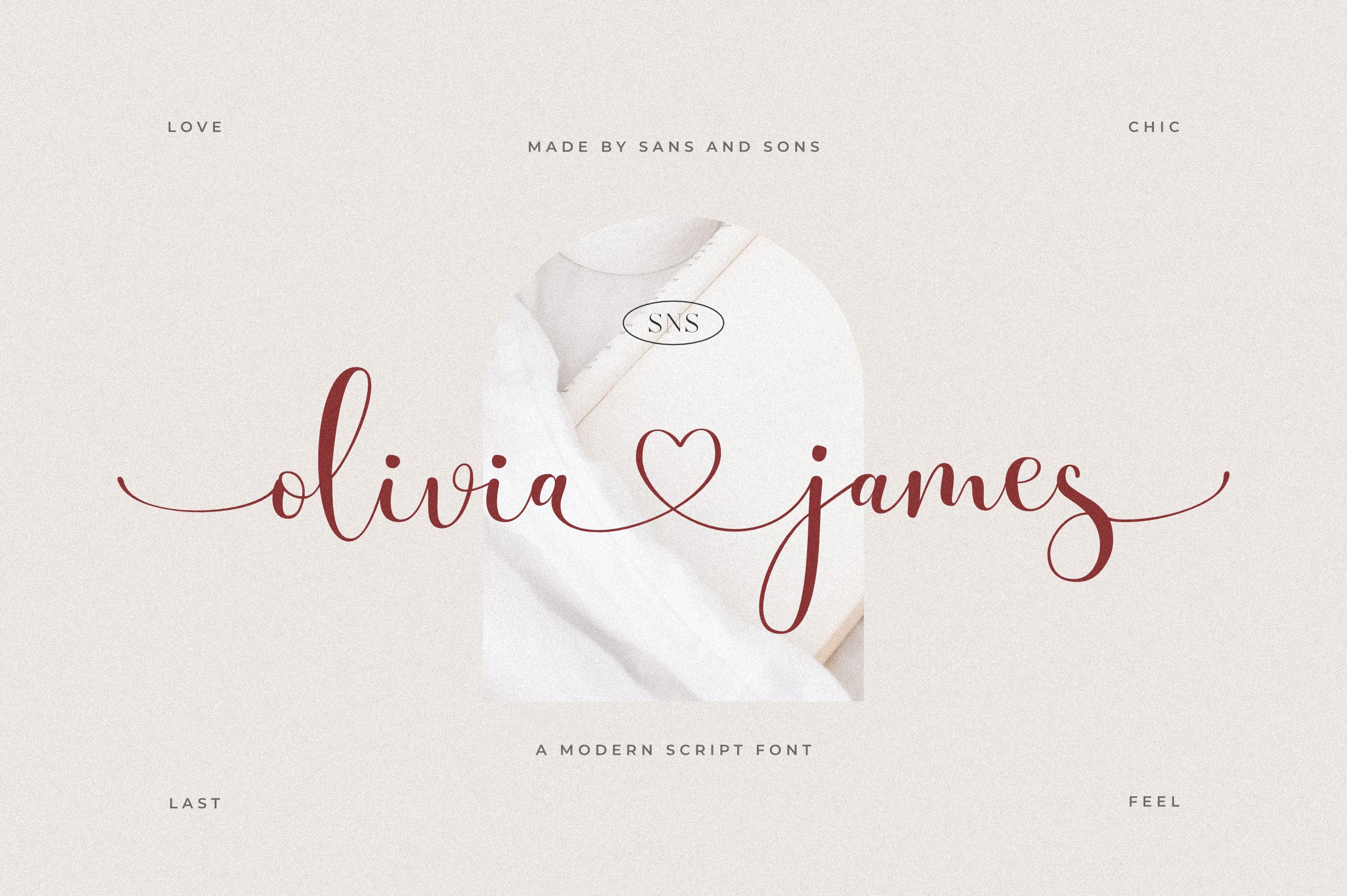 时尚优雅海报标题品牌Logo设计手写英文字体素材 Olivia James - Chic Font_img_2