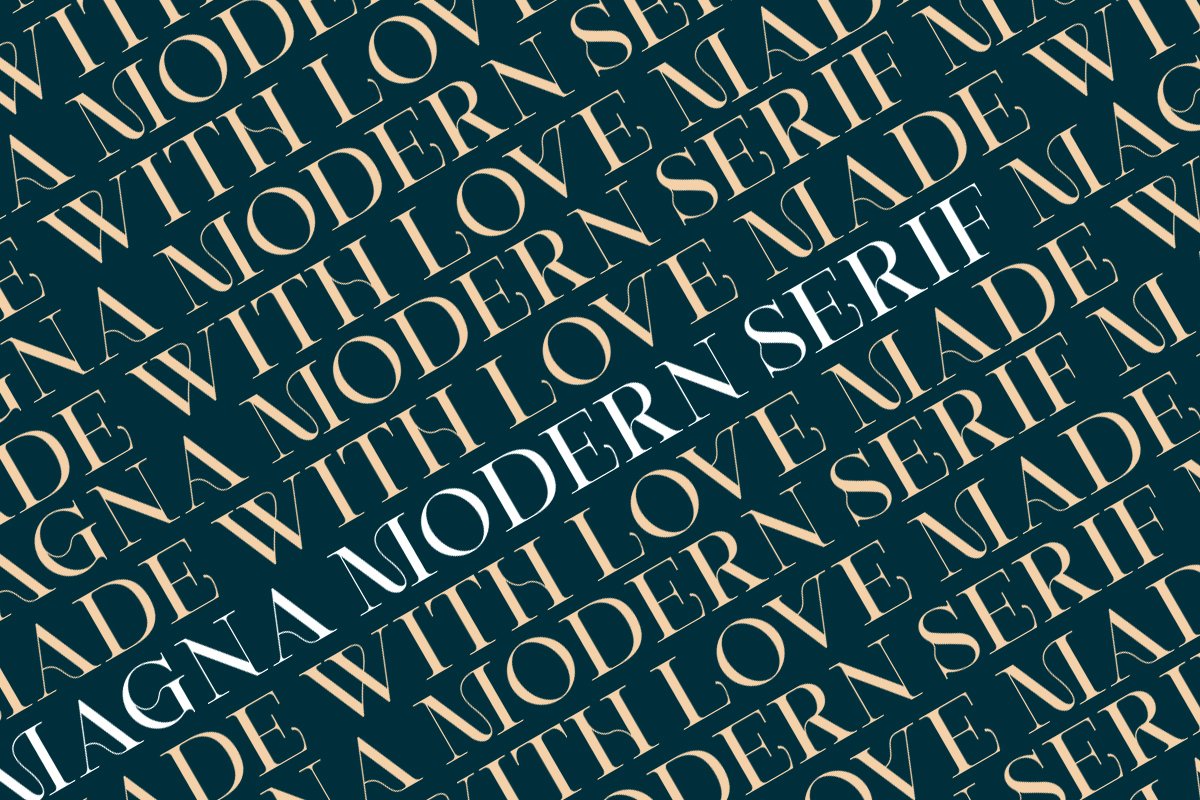 优雅轻奢现代时尚Logo杂志海报标题衬线英文字体素材 Magna - Modern Serif font_img_2