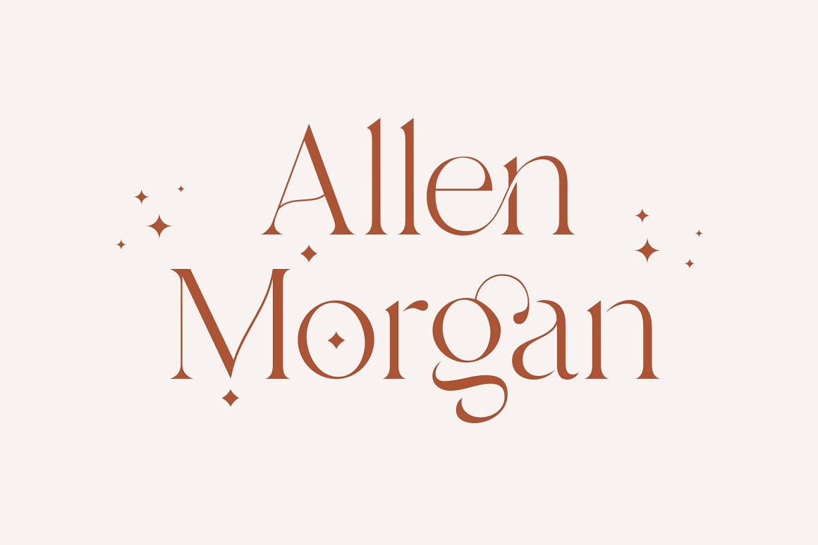 现代优雅海报标题徽标Logo设计衬线英文字体素材 Branch - Modern Ligature Serif_img_2