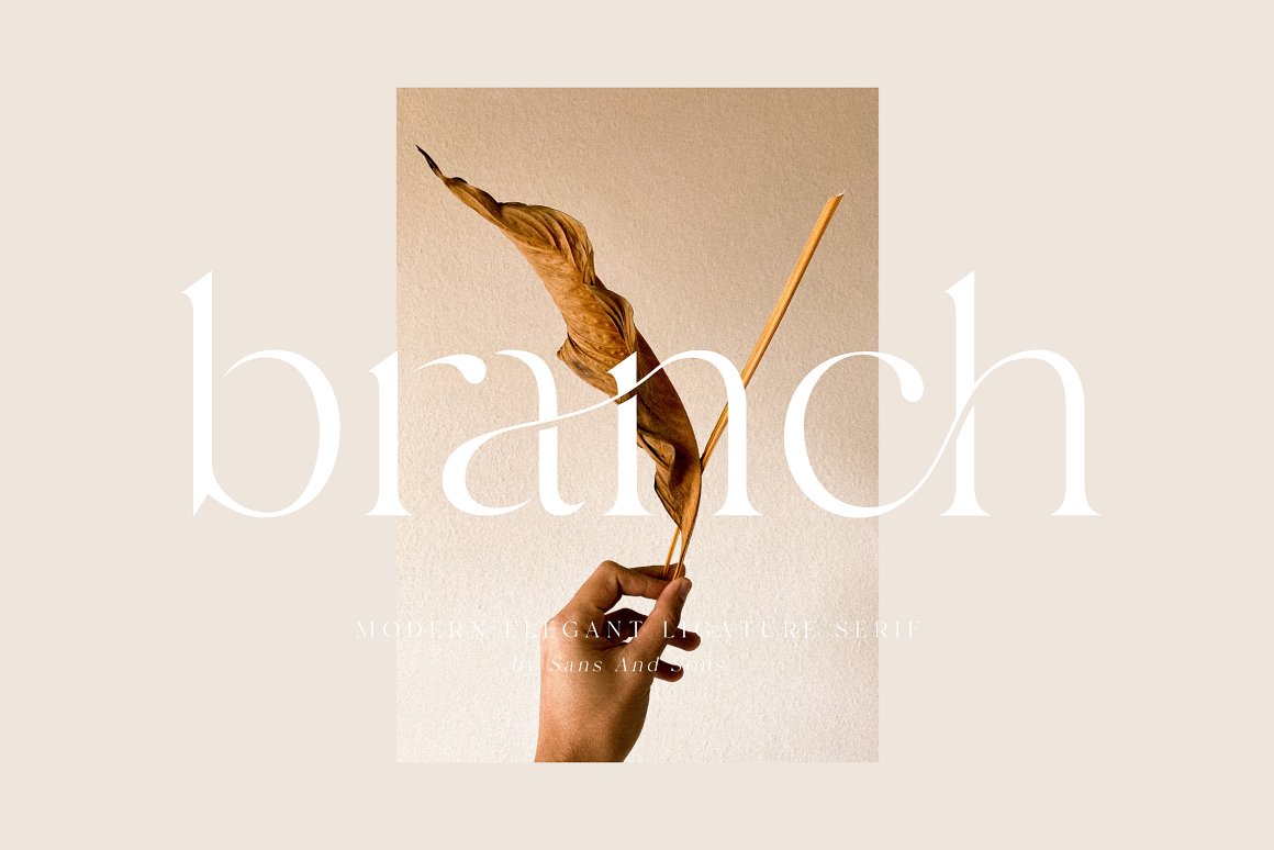 现代优雅海报标题徽标Logo设计衬线英文字体素材 Branch - Modern Ligature Serif_img_2